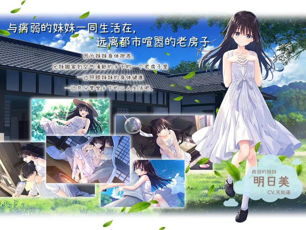【RPG-官中-PC】痴情哥哥与病弱妹妹的乡间生活-エッチで一途なド田舎兄さまと、古式ゆかしい病弱妹1