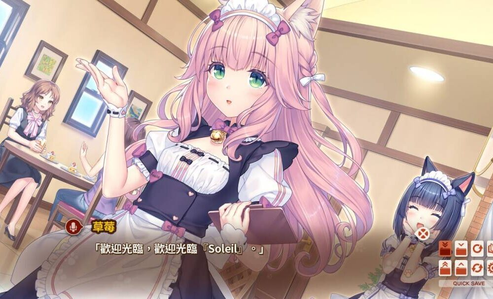 【ADV-PC-官中】猫娘乐园 After-ネコぱら After ラ・ヴレ・ファミーユ 含存档1