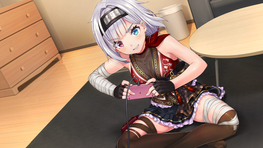 女忍者同居生活1+2 NinNinDays1+2 V1.0.0 STEAM官方中文版1