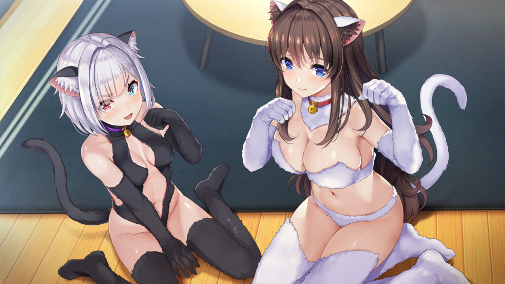 女忍者同居生活1+2 NinNinDays1+2 V1.0.0 STEAM官方中文版
