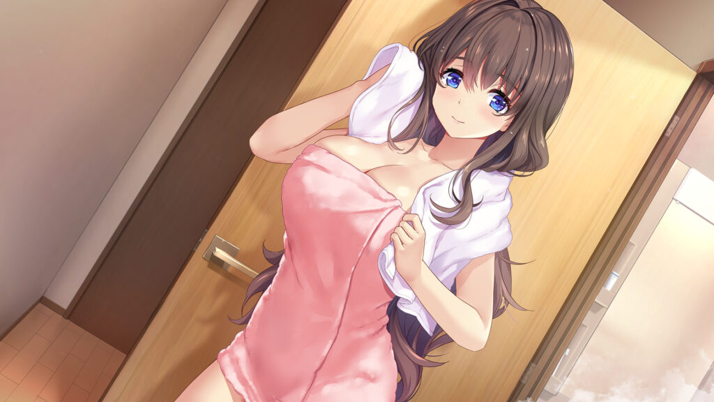 女忍者同居生活1+2 NinNinDays1+2 V1.0.0 STEAM官方中文版2